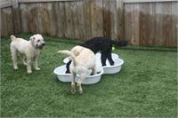 daycare pic 110 - play time